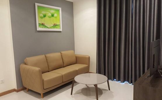 apartment for rent in binh thanh district BT105L519 (7)